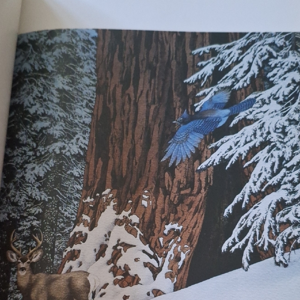 The Art of Bev Doolittle - Picture 7 of 16